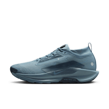 Tenisky a topánky Nike Pegasus Trail 5 GORE-TEX Modrá | FQ0908-005, 0