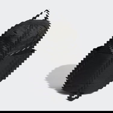 Batohy a tašky adidas Originals Adicolor Backpack Čierna | IM1138, 1
