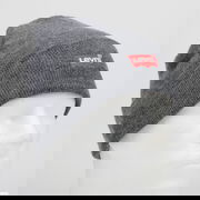 Batwing Embroidered Beanie