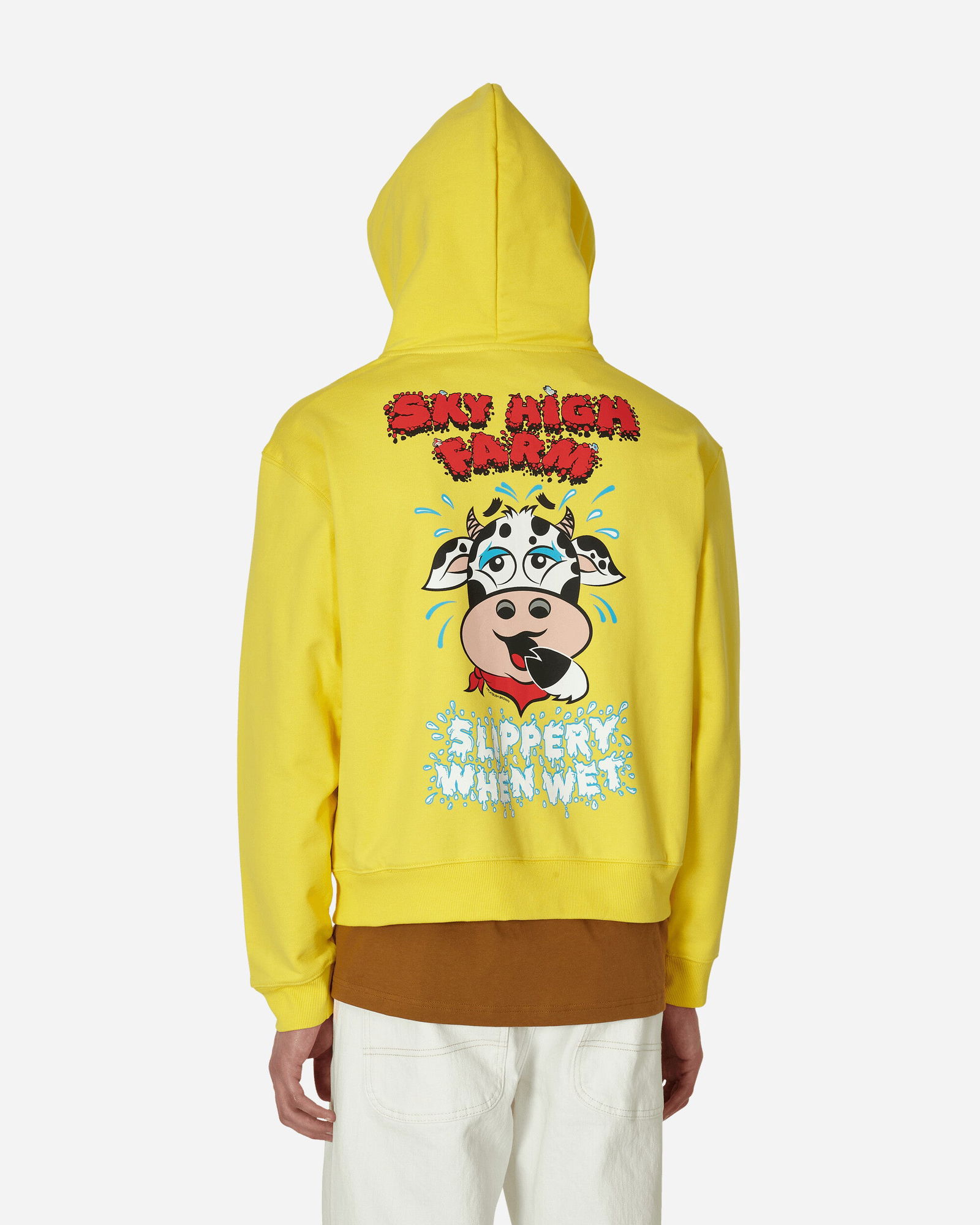 Flatbush Printed Zipped Hooded Sweatshirt