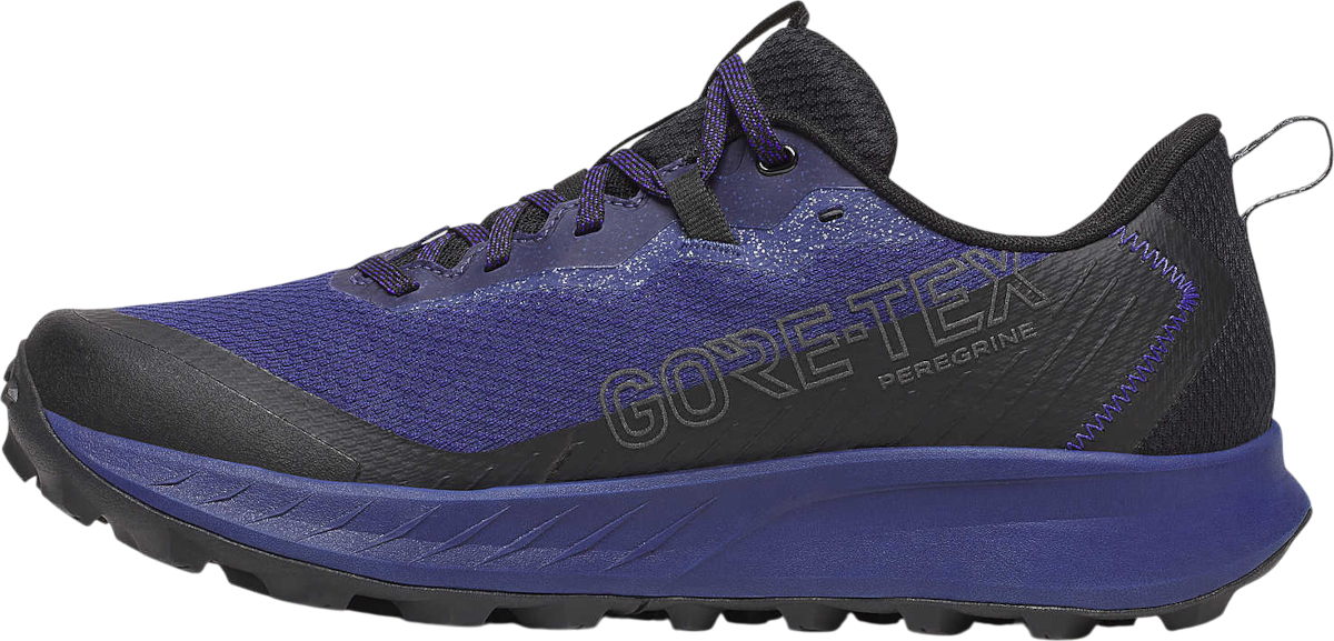 Tenisky a topánky Saucony PEREGRINE 15 GTX Fialová | s20992-262, 1