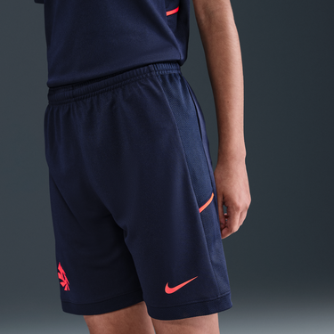 Šortky Nike Dri-FIT Erling Haaland Academy Shorts Navy | hv0213-498, 3