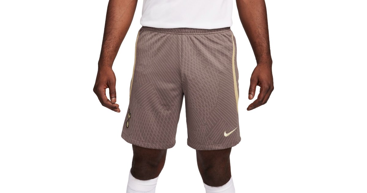Šortky Nike Dri-FIT Tottenham Hotspur Strike Béžová | dz0865-004, 1