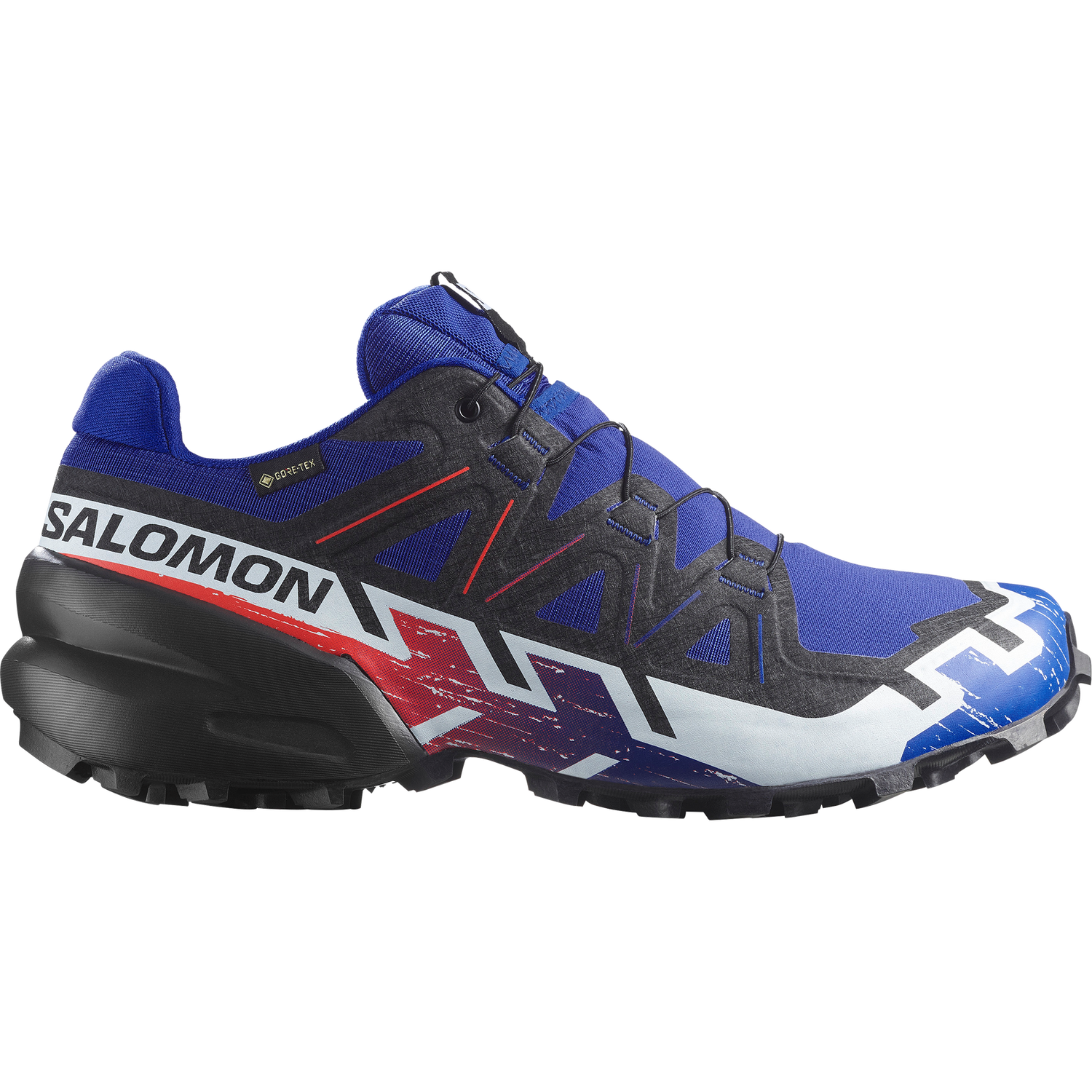 Tenisky a topánky Salomon Speedcross 6 Gtx Equipe Rôznofarebný | L47982800, 0
