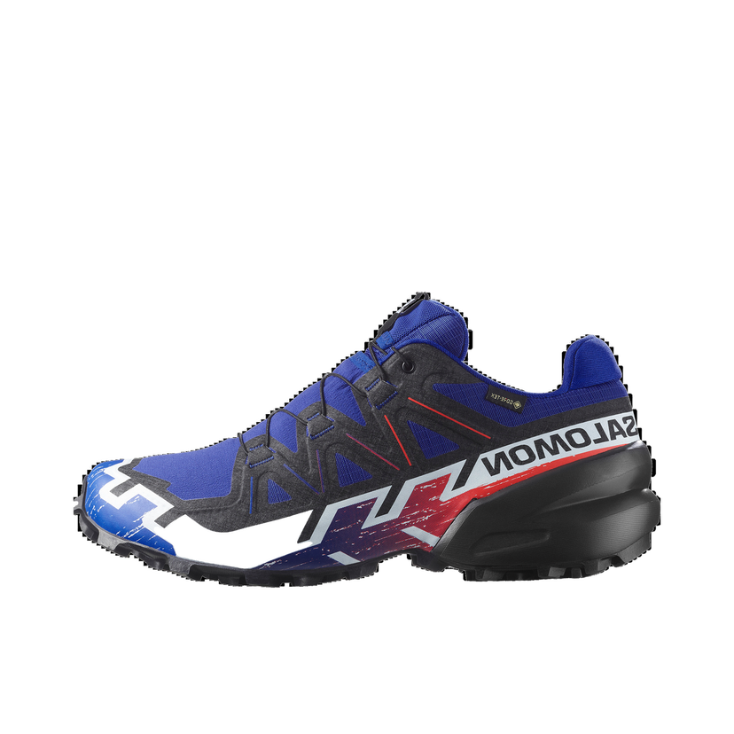 Tenisky a topánky Salomon Speedcross 6 Gtx Equipe Rôznofarebný | L47982800