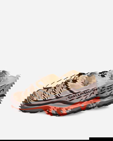 Tenisky a topánky Salomon XT-6 Sneakers Hazelnut / Quail / Living Coral Béžová | L47444900, 4