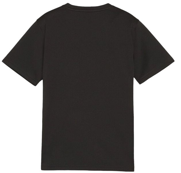 Tričko Puma teamGOAL T-Shirt Čierna | 658636-03, 1