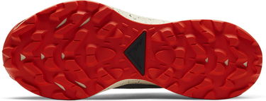 Tenisky a topánky Nike Pegasus Trail 2 GTX W Hnedá | cu2018-002, 1
