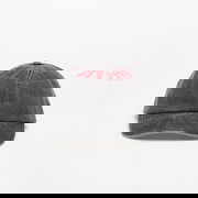 PLEASURES Onyx Crown Washed Cap