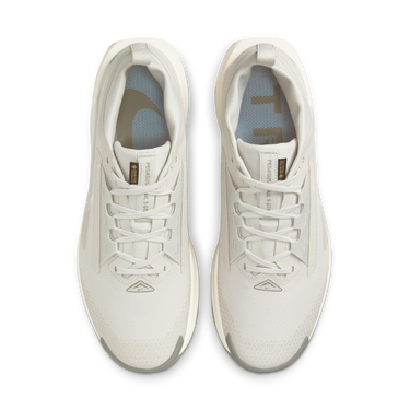 Tenisky a topánky Nike Pegasus Trail 5 GORE-TEX Béžová | FQ0908-008, 2