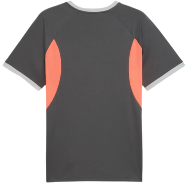 Dres Puma IndividualLiga Training Jersey Rôznofarebný | 659526-10, 1