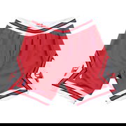 Mitchell & Ness NBA Authentic Chicago Bulls Shorts