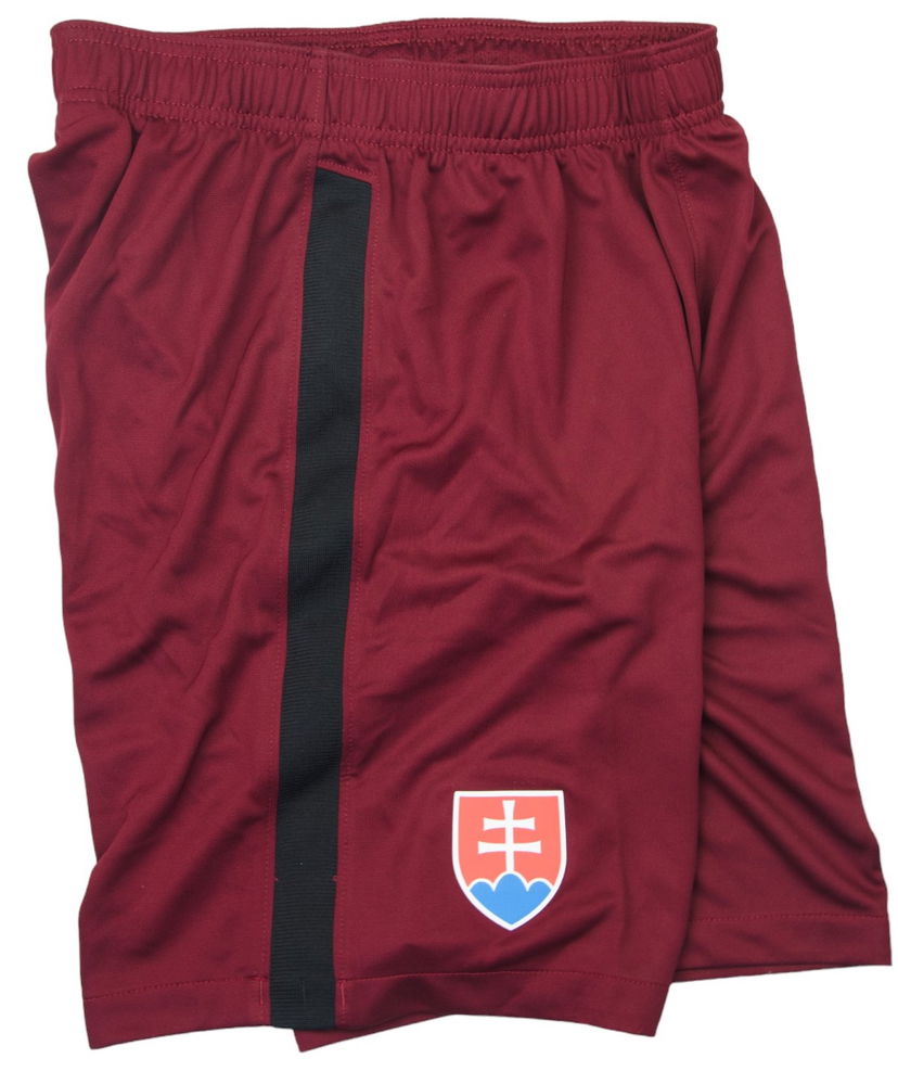 Šortky Nike SFZ M SHORT GK PR Červená | cd8374-677