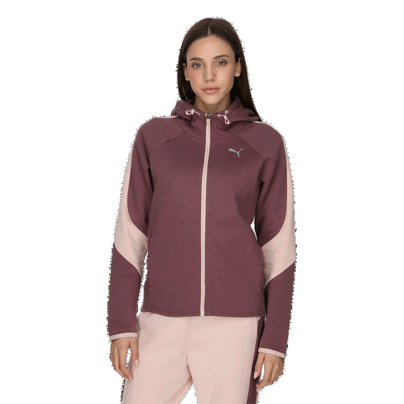 Mikina Puma EVOSTRIPE Full-Zip Hoodie Rôznofarebný | 849809-75