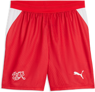 Switzerland Replica Home 2026 Football Shorts