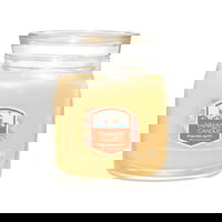 Slopeside Spritz Signature Medium Jar 2-Wick Candle 368g