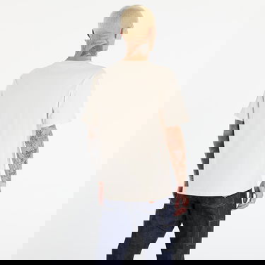 Tričko Dickies Mapleton T-Shirt "Whitecap Gray" Šedá | DK0A4XDBF901, 4