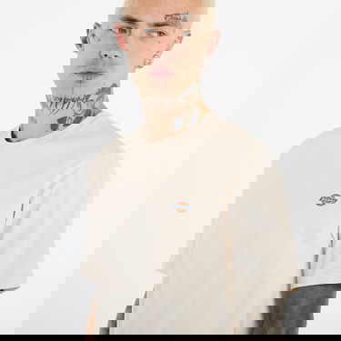 Tričko Dickies Mapleton T-Shirt "Whitecap Gray" Šedá | DK0A4XDBF901, 3