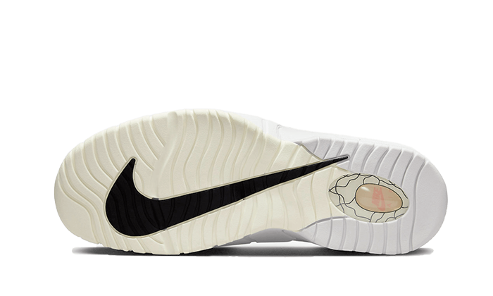 Tenisky a topánky Nike Air Max Penny 1 "Photon Dust" Šedá | DX5801-001, 1