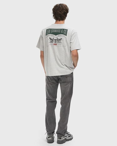 Tričko Levi's Vintage Fit Graphic T-Shirt Šedá | 87373-0256, 2