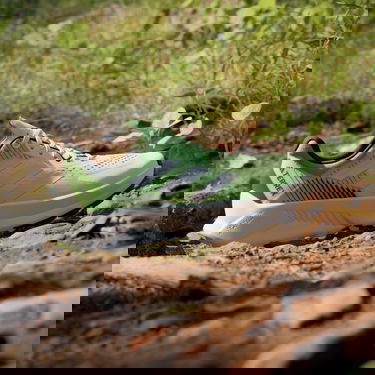 Tenisky a topánky adidas Performance adidas TERREX Boty TERREX Soulstride Flow Trail Running Zelené | IG8026, 3