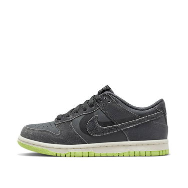 Tenisky a topánky Nike Dunk Low "Iron Grey" GS Šedá | DQ6215-001, 3