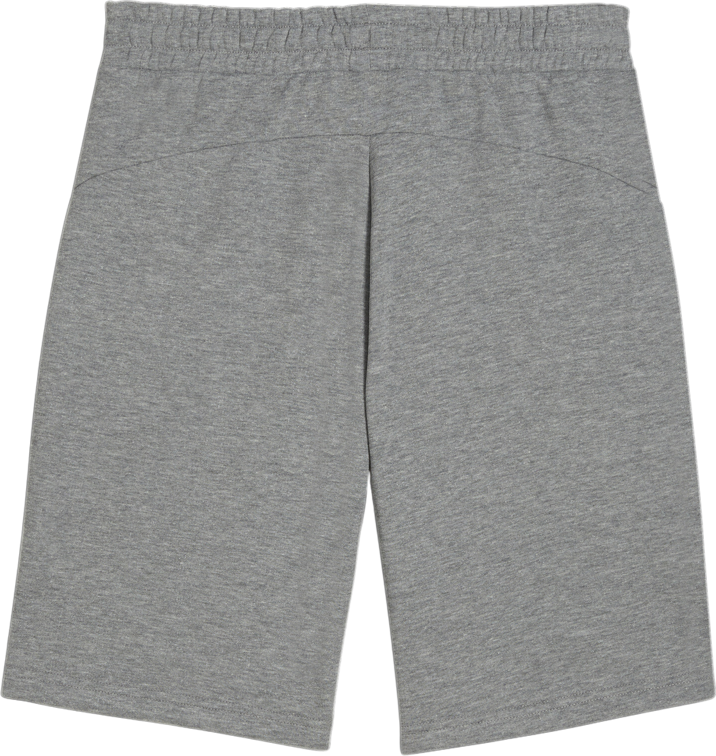 Šortky Puma BVB Dortmund Essential Shorts Šedá | 775996-08, 1