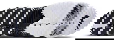 Tenisky a topánky Nike Stussy x Air Zoom Spiridon Caged 2 "Pure Platinum" Metalická | CU1854-001, 2