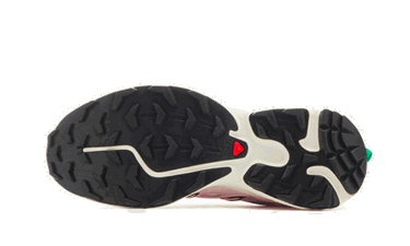 Tenisky a topánky Salomon Sandy Liang x XT-6 Ružová | L47242200, 2