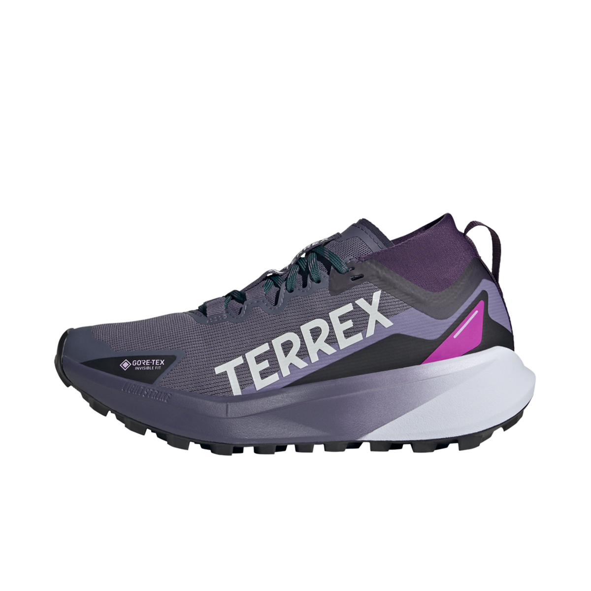Tenisky a topánky adidas Originals TERREX AGRAVIC GTX Fialová | JR7785, 0