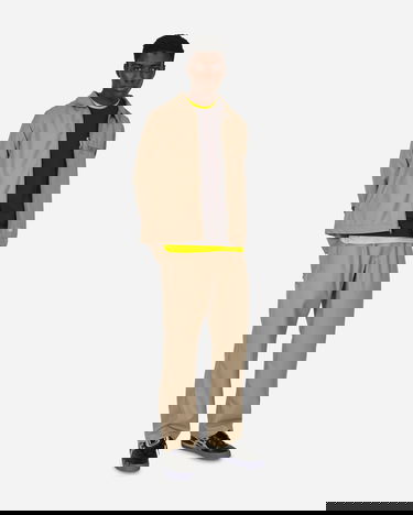 Bunda Dickies Painters Eisenhower Jacket Béžová | DK0A4YVH DS01, 4