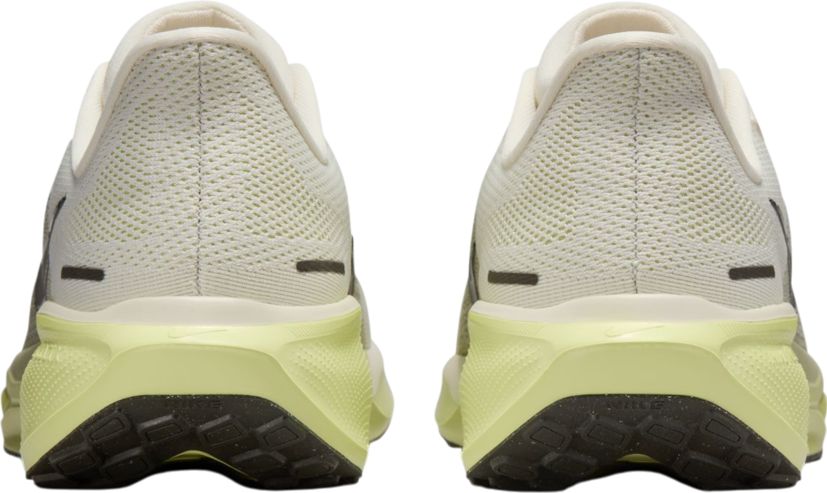 Tenisky a topánky Nike Pegasus 41 Biela | fd2722-109, 1