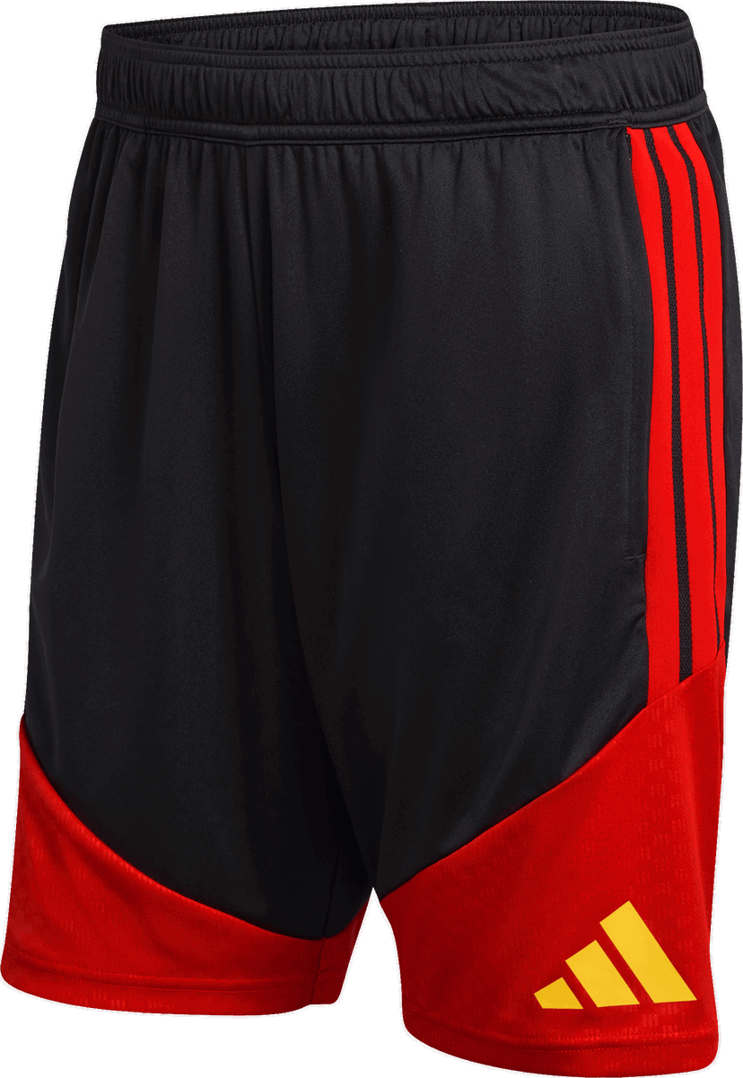 Šortky adidas Originals Belgium Tiro 26 Training Shorts Rôznofarebný | kb3410