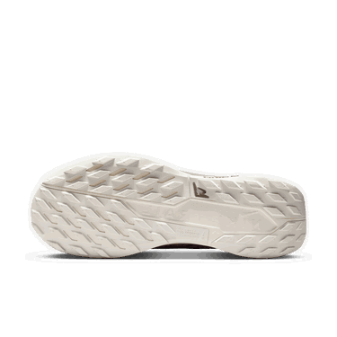 Tenisky a topánky Nike Pegasus Trail 5 GORE-TEX SP Hnedá | HQ7494-200, 3