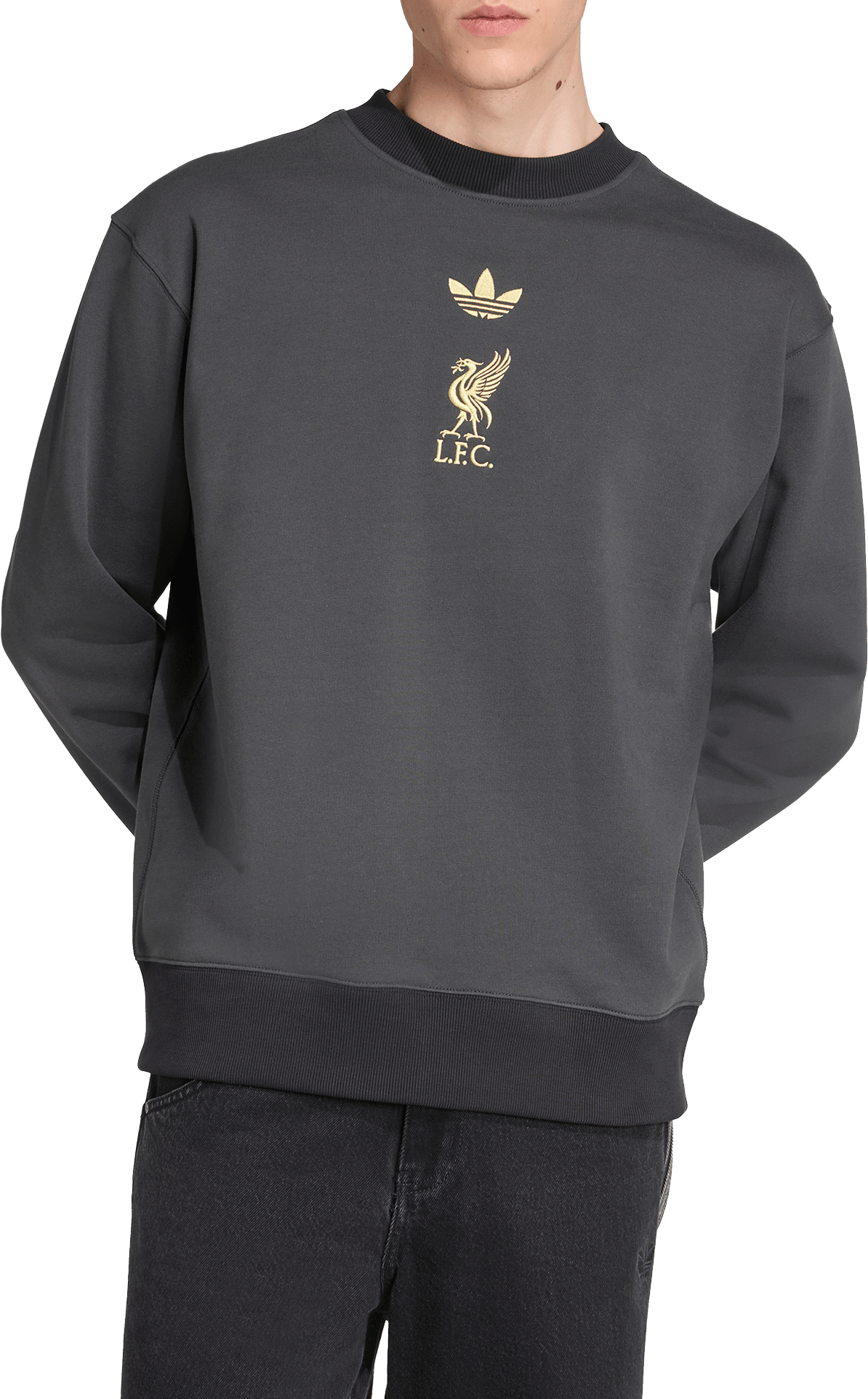 Mikina adidas Originals FC Liverpool Lifestyler Sweatshirt Šedá | kc7801, 1