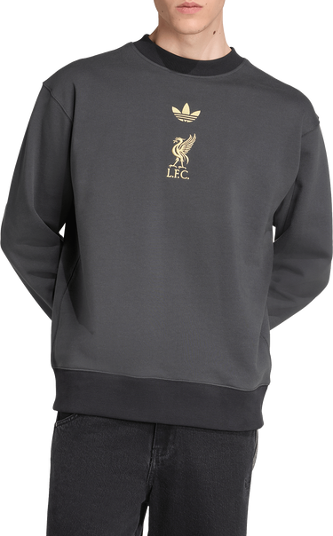 Mikina adidas Originals FC Liverpool Lifestyler Sweatshirt Šedá | kc7801, 1