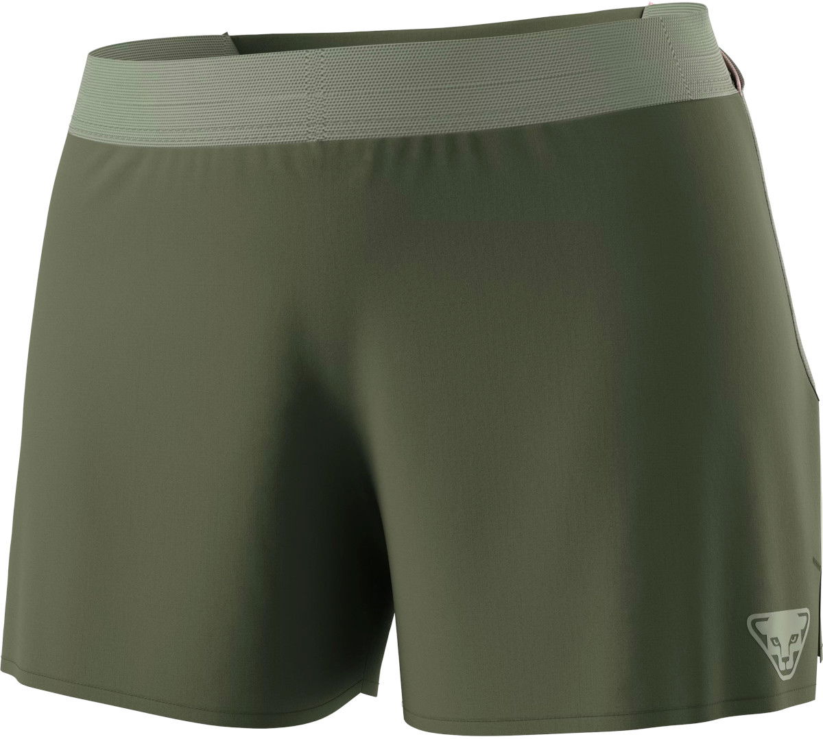 Šortky Dynafit SKY Shorts Zelené | 08-0000071654-5561, 1