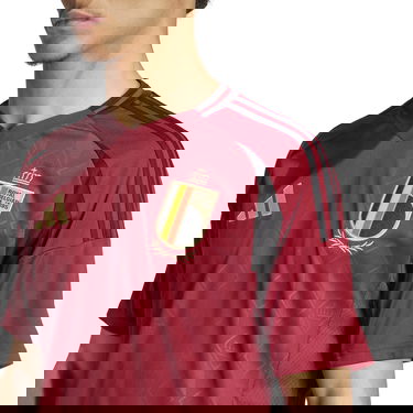 Dres adidas Originals RBFA H JSY 2024 Vínová | iq0769, 5