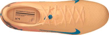 Tenisky a topánky Nike Zoom Mercurial Vapor 16 Academy Kylian Mbappé FG/MG Rôznofarebný | fq8377-801, 9