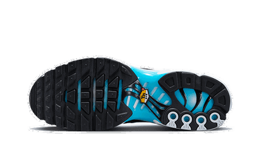 Tenisky a topánky Nike Air Max Plus Modrá | FD9751-100, 4