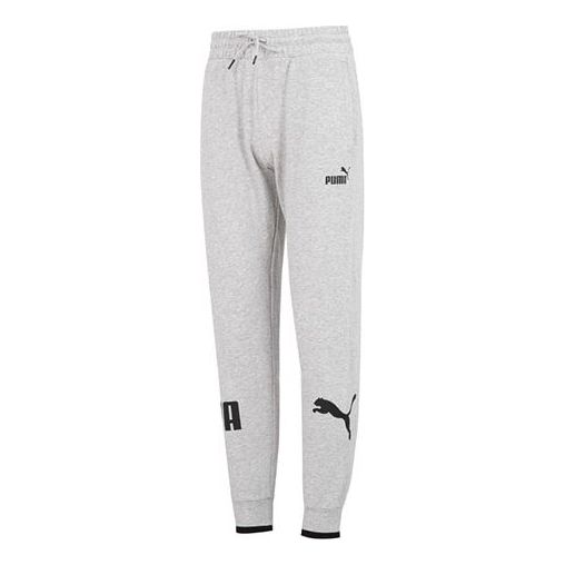 Tepláky Puma Power Sweatpants Šedá | 676669-04, 0