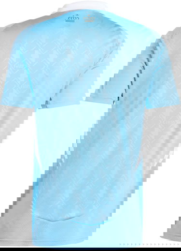 Dres adidas Originals RBFA A JSY 2024 Modrá | iq0775, 2
