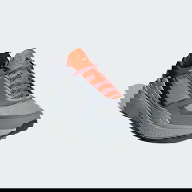 Tenisky a topánky adidas Performance Stella McCartney x Earthlight Šedá | IF1530, 2