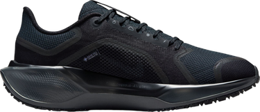 Tenisky a topánky Nike Pegasus 41 GORE-TEX Čierna | fq1357-001, 3