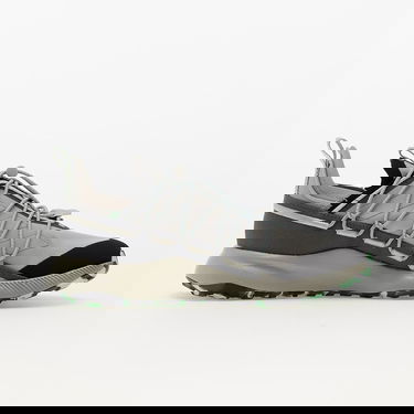 Tenisky a topánky adidas Performance TERREX Voyager 21 Šedá | GX8675, 1