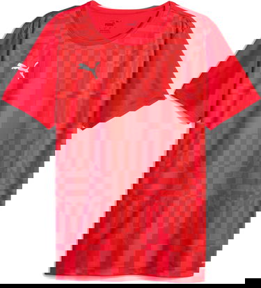 Dres Puma individualRISE Graphic Červená | 658614-01, 0