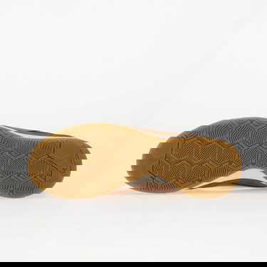 Tenisky a topánky Nike Gato Hnedá | HQ6019-200, 1
