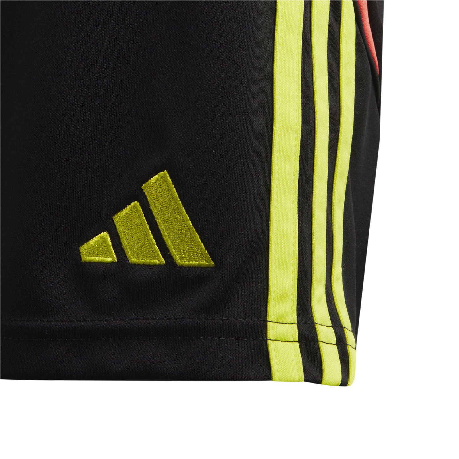 adidas TIRO24 SHO Y