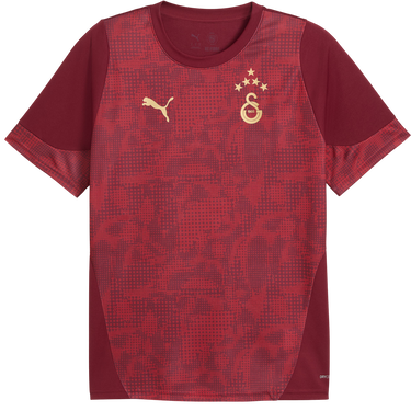 Dres Puma Galatasaray Istanbul Patterned DRYCELL Training Jersey Vínová | 949105-003, 0