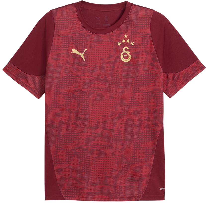 Dres Puma Galatasaray Istanbul Patterned DRYCELL Training Jersey Vínová | 949105-003